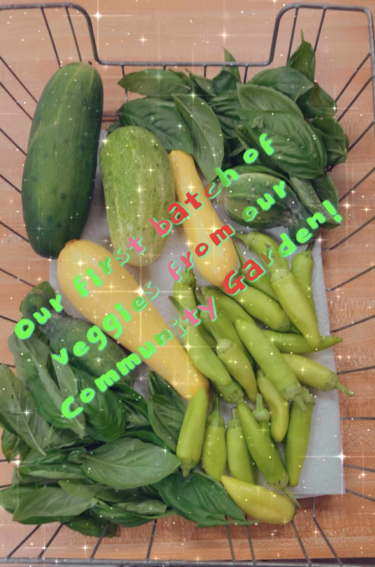 Home Ayden Housing Authority